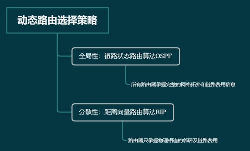 計算機網(wǎng)絡(luò)基礎(chǔ) 路由選擇協(xié)議與軟硬件及網(wǎng)絡(luò)技術(shù)開發(fā)