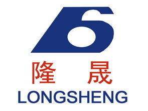 蘭州隆晟包裝食品機械與雪鵬科技 專注食品機械，賦能行業(yè)高效生產(chǎn)